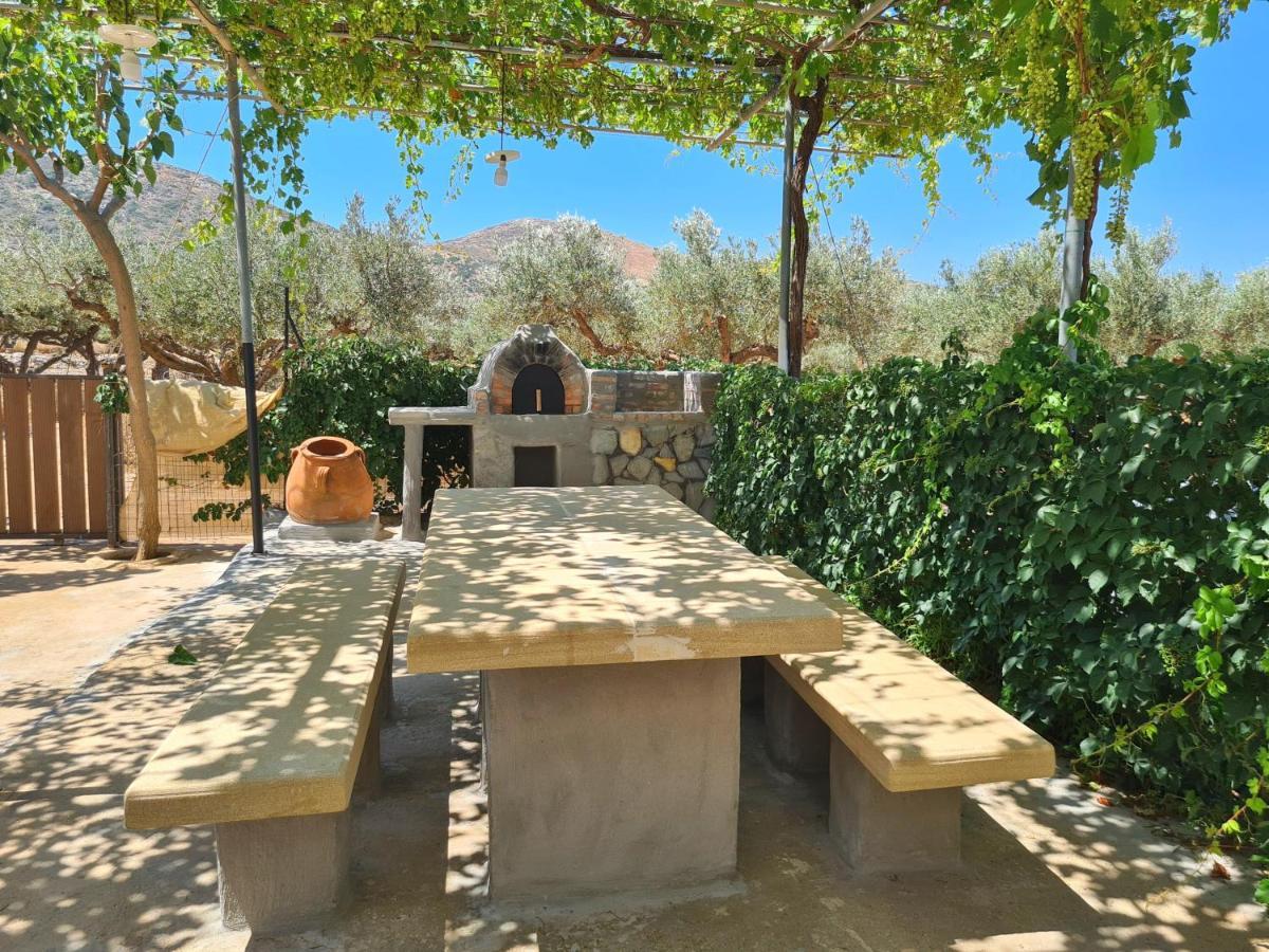 Villa Pause Serenity House Into Olive Groves à Agios Fotios Extérieur photo